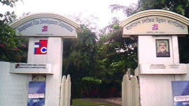 IMG_2384.jpeg