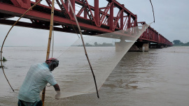 Fishing nets, which once brought 300 to 500 grams in a single sweep, now yield only one or two tiny fish, if any. Photo: Star