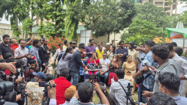 BFDC
