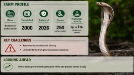 Snake Venom-2.jpg