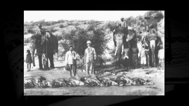 Tiger hunt in colonial India