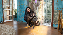 Adopt, don’t shop: Give a deshi animal a home
