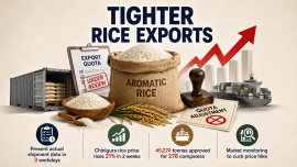 Aromatic Rice export.png