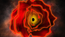 Black hole star