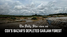 EDITORIAL_2__Coxs_Bazars_depleted.jpg