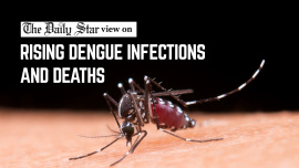 rising dengue infections and deaths