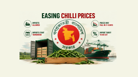 Green chilli imports_.png