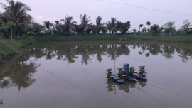 Khulna .jpeg