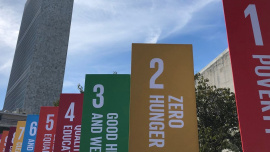 SDG goals.jpg