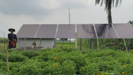 Solar-power-irrigation-01.jpg