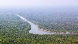Sundarbans.jpg