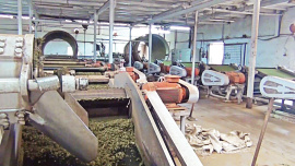 Sylhet-tea-gardens-1.jpg