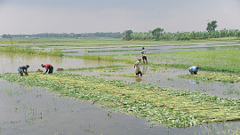 agricultural-and-rural-credit.jpg