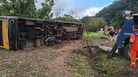 brazil bus.jpg