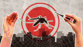 dengue deaths in Bangladesh 2026