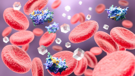 insulin-resistance-paradox.jpg