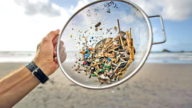 microplastic.jpeg
