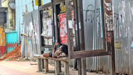 passenger-sheds-occupied-01.jpg