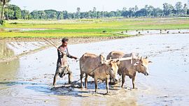 rural-Bangladesh.jpg