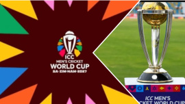 Cricket WC.jpg