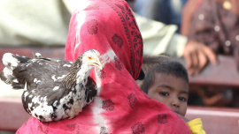 Final_Photo_Rohingya_Women.jpg