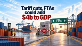 Tariff cuts WB.png