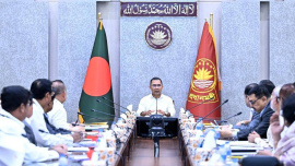 Tarique dengue.jpg