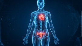 Truth about menopause and your suddenly rising heart risk