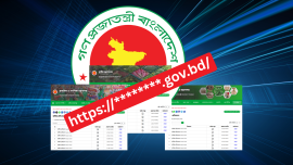Bangladesh govt websites | 46 government entities fail to publish annual reports