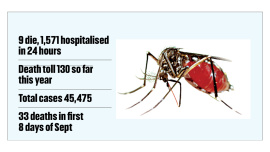 dengue-hit-high.jpg