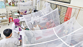 dengue.jpg