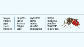 dengue.jpg
