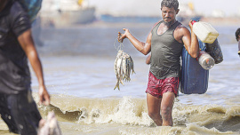 1_ilish_rajib Raihan.jpg