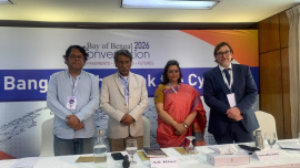 AliRiaz_BayOfBengalConversation.jpg