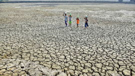 Children in Gabura, Satkhira.jpeg