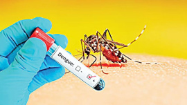 dengue deaths Bangladesh October 2026