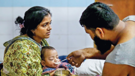 dengue.jpg