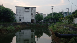 stagnant-water-1.jpg