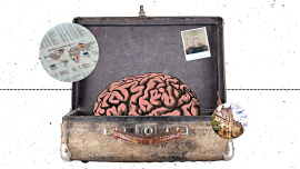 brain-drain.jpg