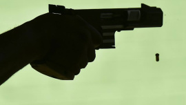 Pistol.jpg