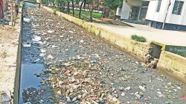 plastic menace.jpg