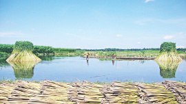 water management.jpg