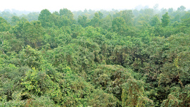 env1.jpg