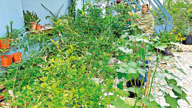 green1.jpg