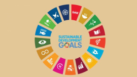 sdg-financing-strategy.jpg