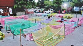 parents-dengue-patients.jpg