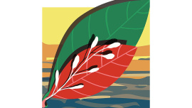leaf.jpg