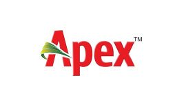 apex.jpg