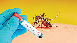 dengue deaths in Bangladesh 2026