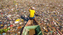 plastic-pollution.jpg